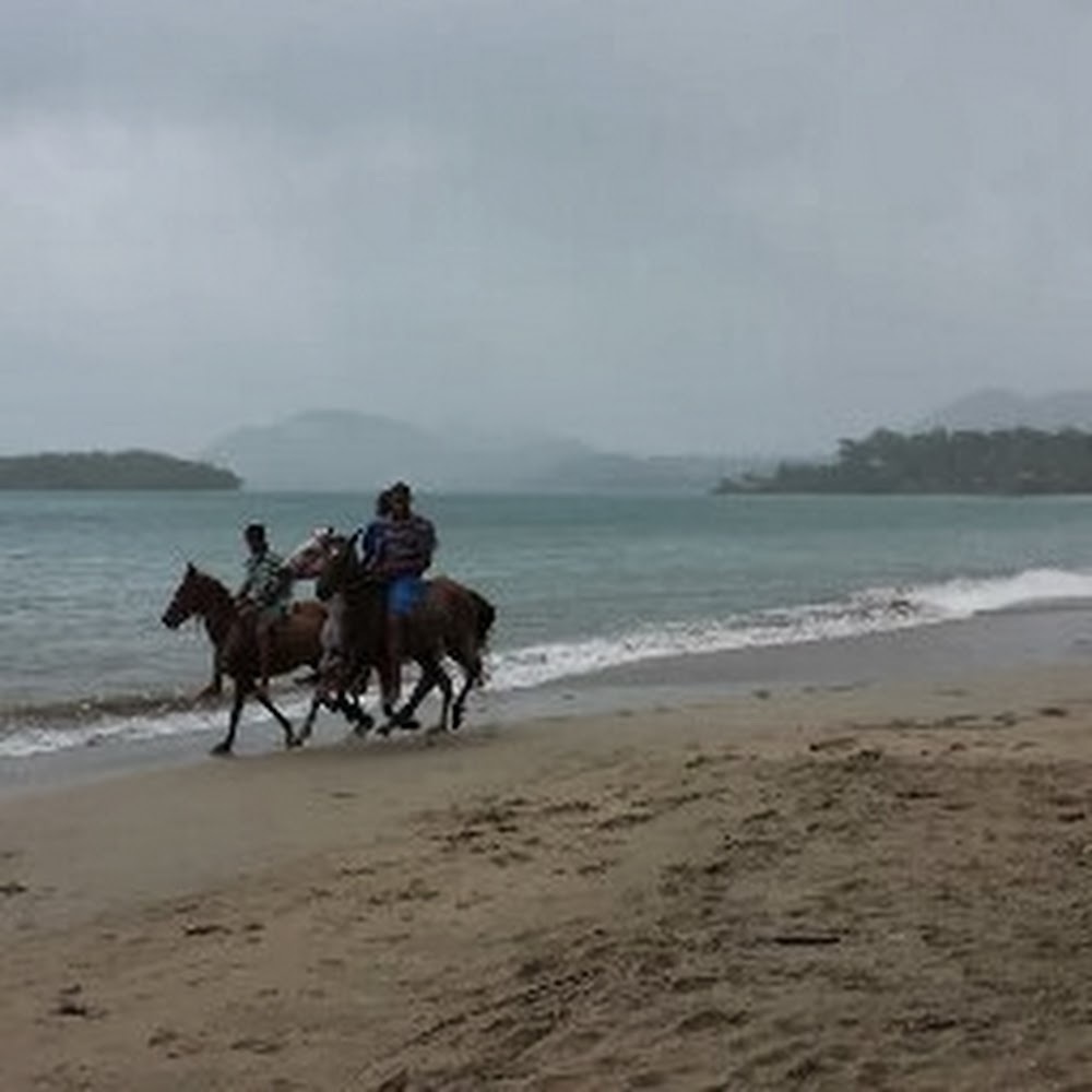 Meet your Posher, Wanjeri